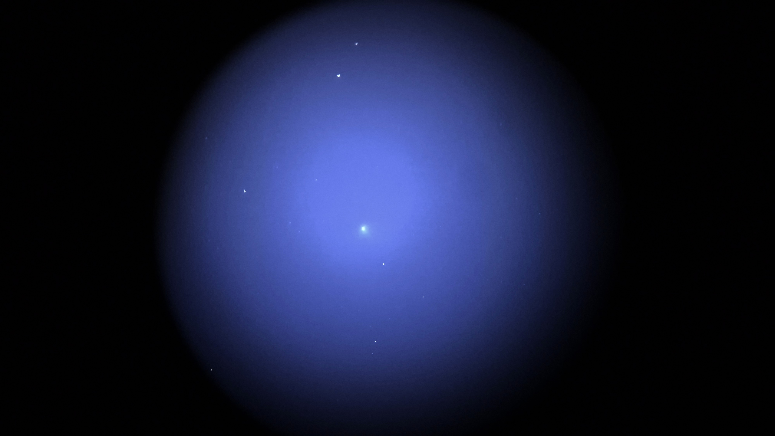 C/2025 A6 (Lemmon)